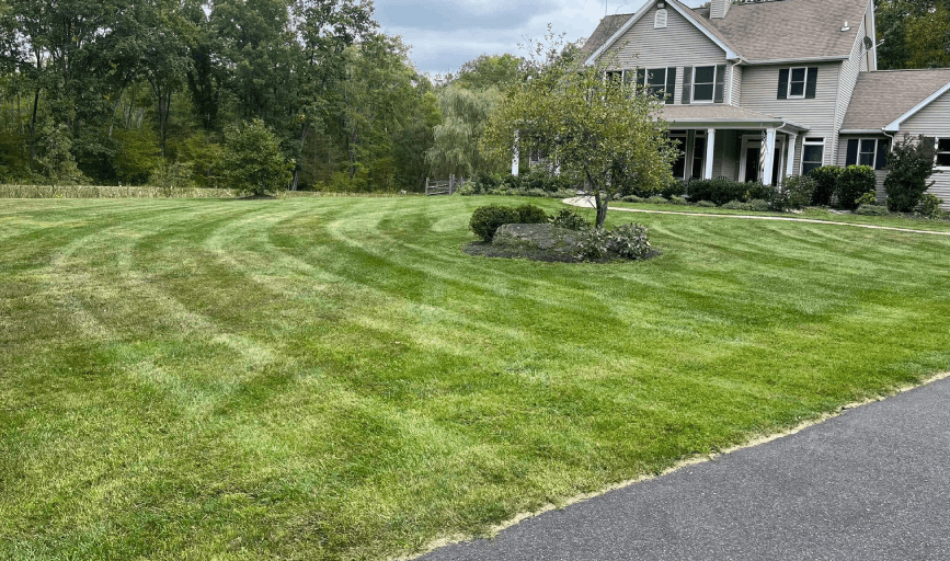 Lawn Mowing